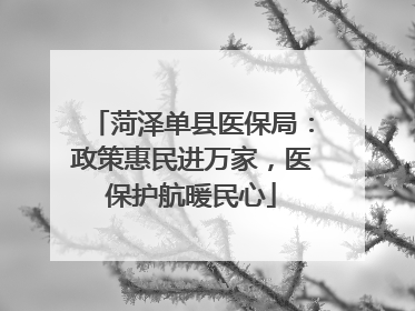菏泽单县医保局：政策惠民进万家，医保护航暖民心