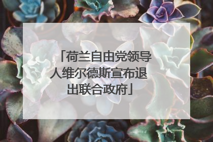 荷兰自由党领导人维尔德斯宣布退出联合政府