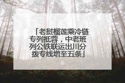 老挝榴莲乘冷链专列抵蓉，中老班列公铁联运出川分拨专线增至五条