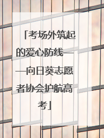 考场外筑起的爱心防线——向日葵志愿者协会护航高考
