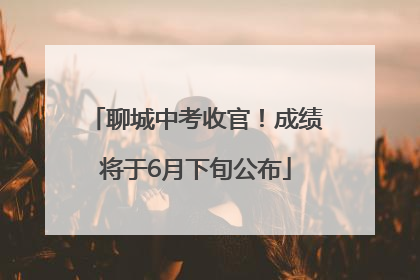 聊城中考收官！成绩将于6月下旬公布