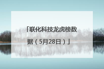 联化科技龙虎榜数据（5月28日）