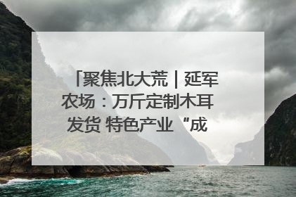 聚焦北大荒｜延军农场：万斤定制木耳发货 特色产业“成绩单”亮眼