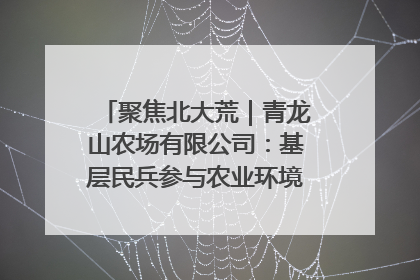 聚焦北大荒｜青龙山农场有限公司：基层民兵参与农业环境综合治理显效