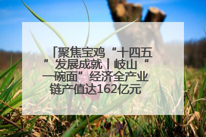 聚焦宝鸡“十四五”发展成就丨岐山“一碗面”经济全产业链产值达162亿元 入选全国典型县