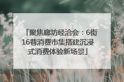 聚焦廊坊经洽会：6街16巷消费市集搭建沉浸式消费体验新场景
