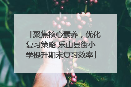 聚焦核心素养，优化复习策略 乐山县街小学提升期末复习效率