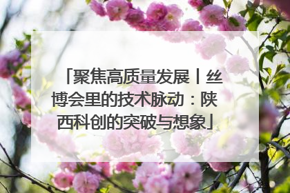 聚焦高质量发展丨丝博会里的技术脉动：陕西科创的突破与想象
