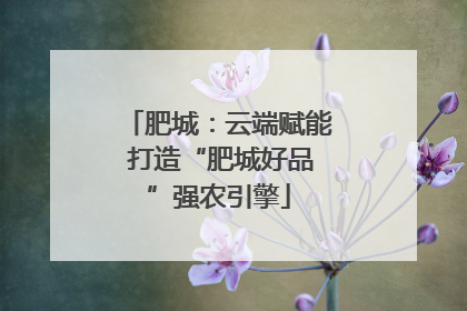 肥城：云端赋能 打造“肥城好品”强农引擎
