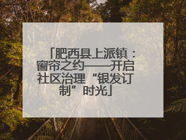 肥西县上派镇：窗帘之约——开启社区治理“银发订制”时光