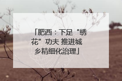 肥西：下足“绣花”功夫 推进城乡精细化治理