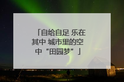 自给自足 乐在其中 城市里的空中“田园梦”