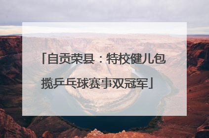 自贡荣县：特校健儿包揽乒乓球赛事双冠军