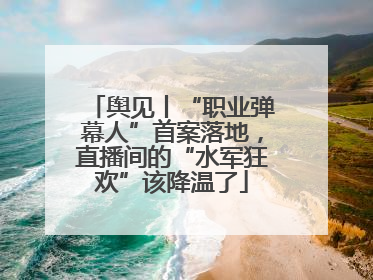舆见丨“职业弹幕人”首案落地，直播间的“水军狂欢”该降温了