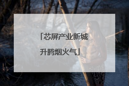 芯屏产业新城升腾烟火气