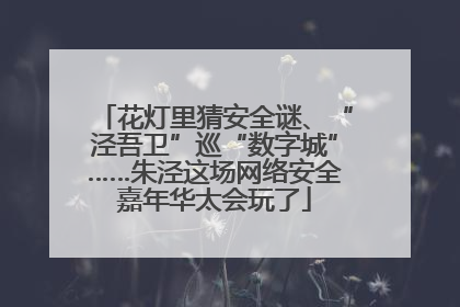 花灯里猜安全谜、“泾吾卫”巡“数字城”……朱泾这场网络安全嘉年华太会玩了
