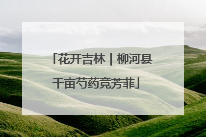 花开吉林｜柳河县千亩芍药竞芳菲