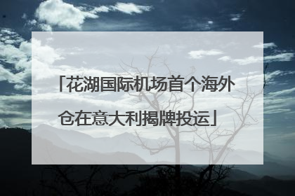 花湖国际机场首个海外仓在意大利揭牌投运