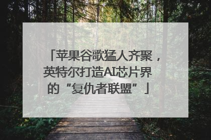 苹果谷歌猛人齐聚，英特尔打造AI芯片界的“复仇者联盟”