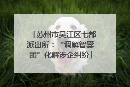 苏州市吴江区七都派出所：“调解智囊团”化解涉企纠纷