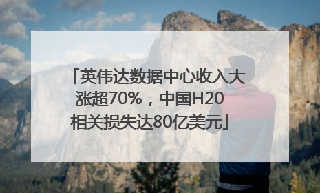英伟达数据中心收入大涨超70%，中国H20相关损失达80亿美元