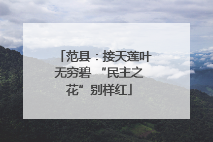 范县：接天莲叶无穷碧 “民主之花”别样红