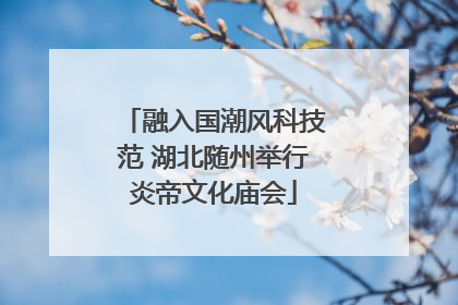 融入国潮风科技范 湖北随州举行炎帝文化庙会