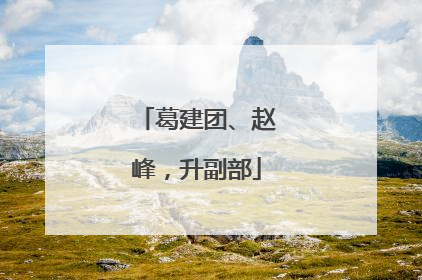葛建团、赵峰，升副部