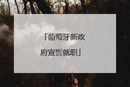 葡萄牙新政府宣誓就职