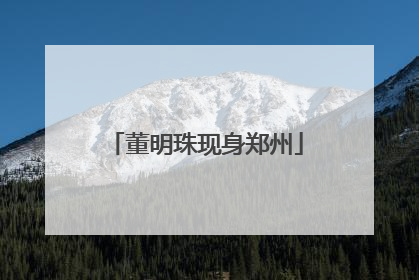 董明珠现身郑州