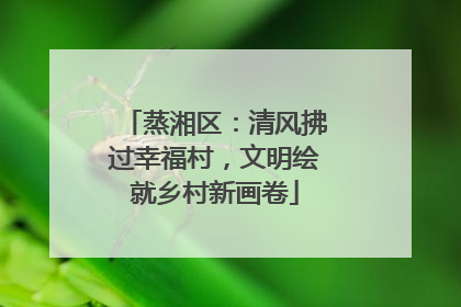 蒸湘区：清风拂过幸福村，文明绘就乡村新画卷