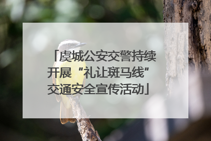 虞城公安交警持续开展“礼让斑马线”交通安全宣传活动