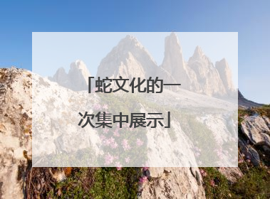 蛇文化的一次集中展示