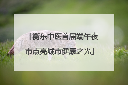 衡东中医首届端午夜市点亮城市健康之光