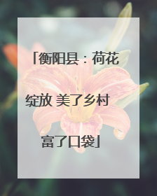 衡阳县：荷花绽放 美了乡村 富了口袋