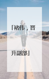 褚伟，晋升副部