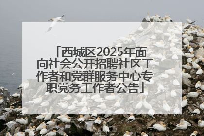 西城区2025年面向社会公开招聘社区工作者和党群服务中心专职党务工作者公告