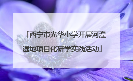 西宁市光华小学开展河湟湿地项目化研学实践活动