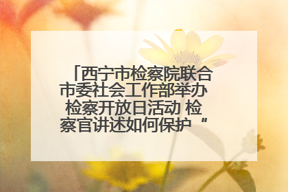 西宁市检察院联合市委社会工作部举办检察开放日活动 检察官讲述如何保护“少年的你”
