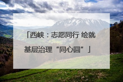 西峡：志愿同行 绘就基层治理“同心圆”