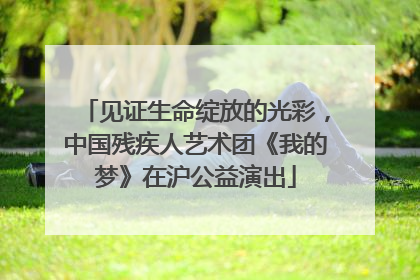 见证生命绽放的光彩，中国残疾人艺术团《我的梦》在沪公益演出
