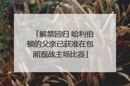 解禁回归 哈利伯顿的父亲已获准在包厢观战主场比赛