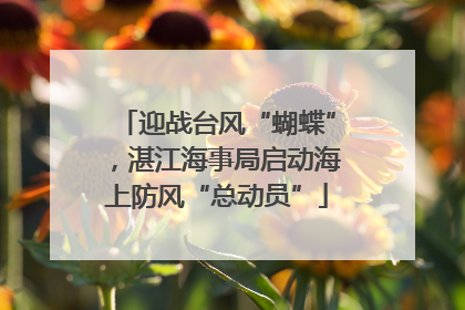 迎战台风“蝴蝶”，湛江海事局启动海上防风“总动员”