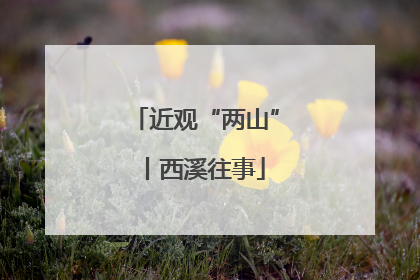 近观“两山”丨西溪往事
