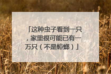 这种虫子看到一只，家里很可能已有一万只（不是蟑螂）