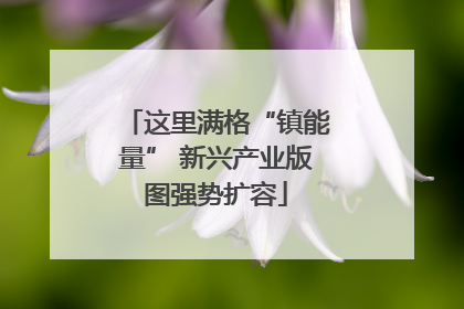 这里满格“镇能量” 新兴产业版图强势扩容