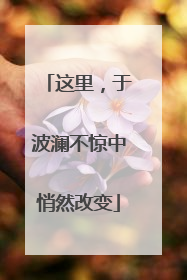 这里，于波澜不惊中悄然改变