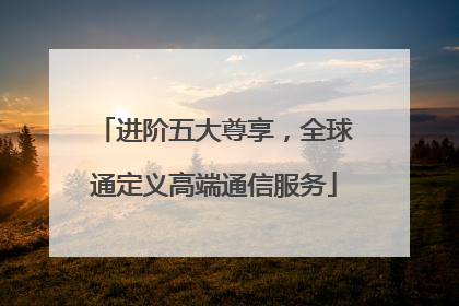 进阶五大尊享，全球通定义高端通信服务