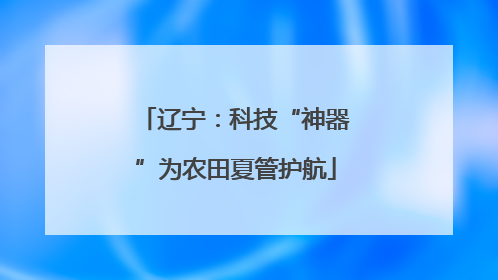 辽宁：科技“神器”为农田夏管护航