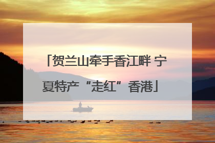 贺兰山牵手香江畔 宁夏特产“走红”香港